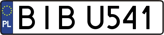 BIBU541