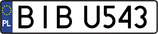 BIBU543