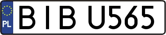BIBU565