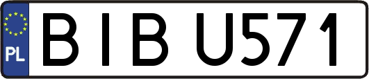 BIBU571