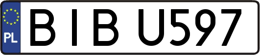 BIBU597