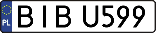 BIBU599