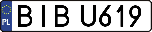 BIBU619