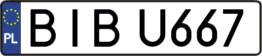 BIBU667