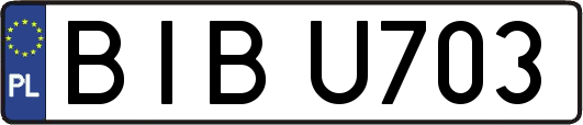 BIBU703