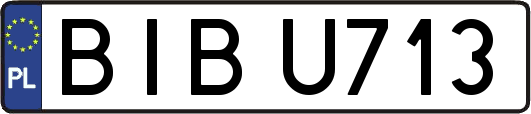 BIBU713