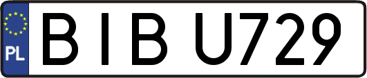 BIBU729