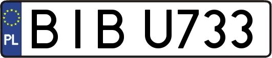 BIBU733