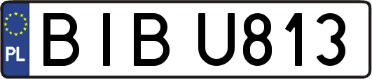BIBU813