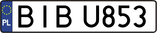 BIBU853