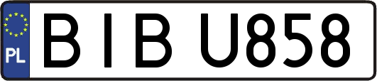 BIBU858