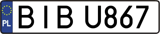 BIBU867