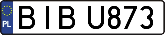 BIBU873