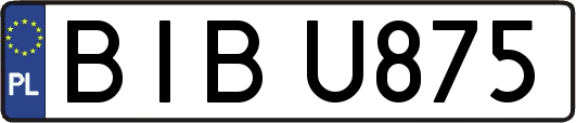 BIBU875