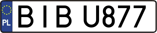 BIBU877