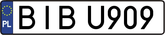 BIBU909