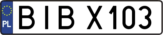 BIBX103