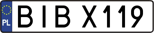 BIBX119