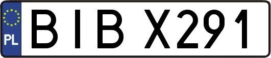BIBX291
