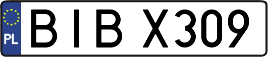 BIBX309