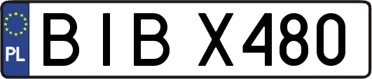 BIBX480