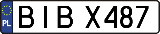 BIBX487