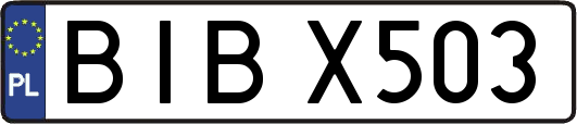 BIBX503