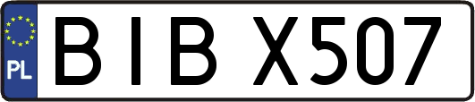 BIBX507