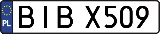 BIBX509