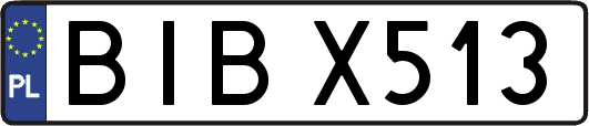 BIBX513