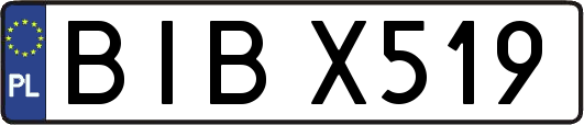 BIBX519