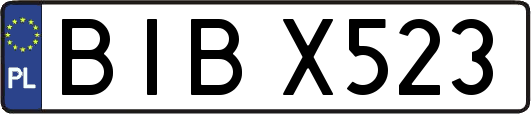 BIBX523