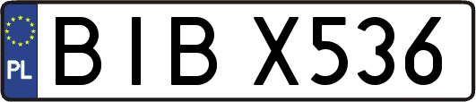 BIBX536