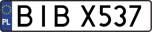 BIBX537