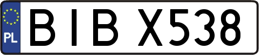 BIBX538