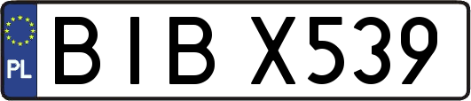BIBX539