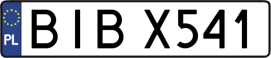 BIBX541