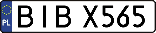 BIBX565