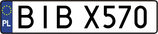 BIBX570