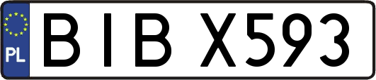 BIBX593