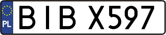 BIBX597