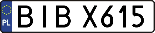 BIBX615