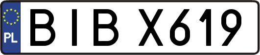 BIBX619
