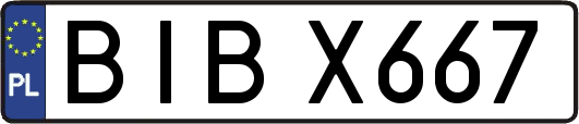 BIBX667