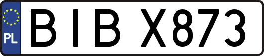 BIBX873
