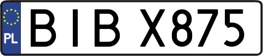 BIBX875