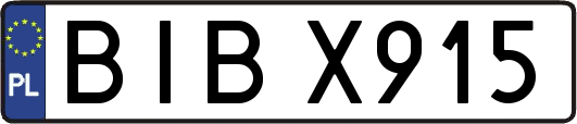 BIBX915