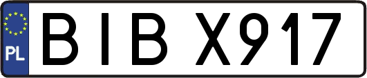 BIBX917