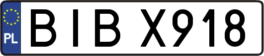 BIBX918