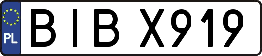 BIBX919